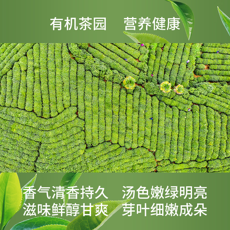 Green-top green tea, organic tea factory 2023 new tea, Chishima-Wano Ecology green tea in bulk.
