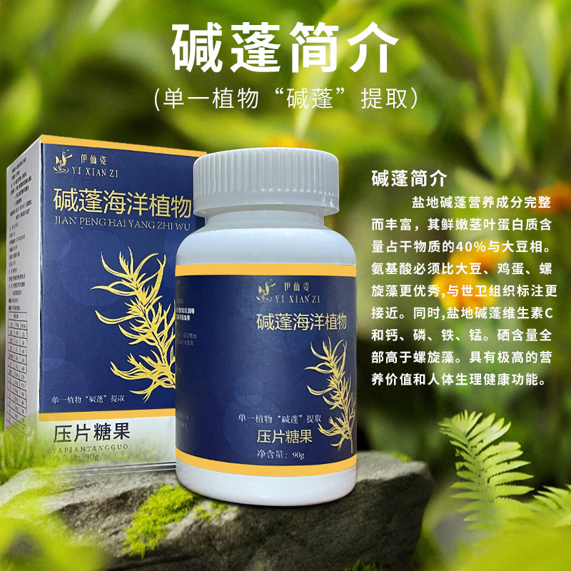 碱蓬海洋植物精华提取压片糖果现货通用一件代发加工压片