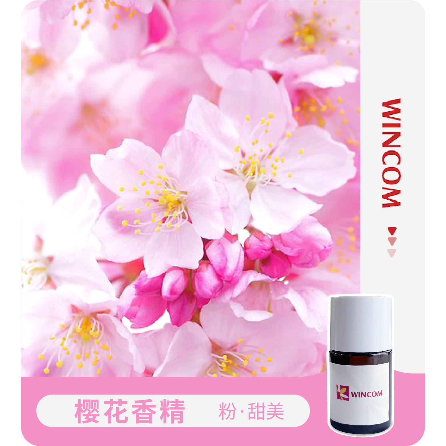 Mùi hương, hương thơm của hoa anh đào, hương thơm của rượu, mùi hương của đào và hoa tươi.
