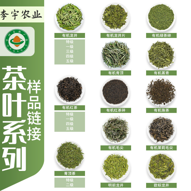 Organic green tea and tea. 2023 new tea dragon well class.
