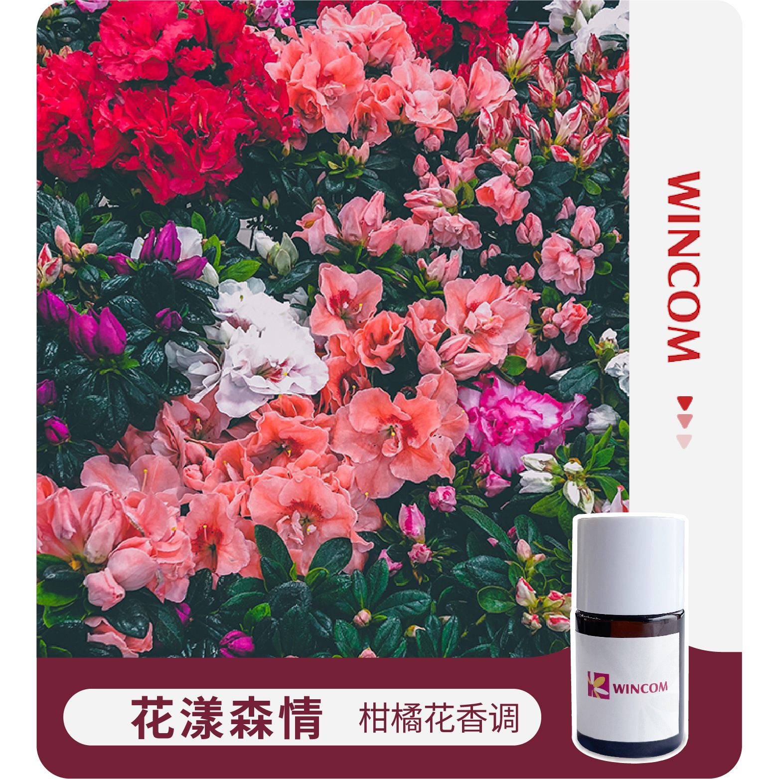 Hương thơm, hương thơm của hoa, hương thơm của cirtrus, hương thơm của giặt giũ.