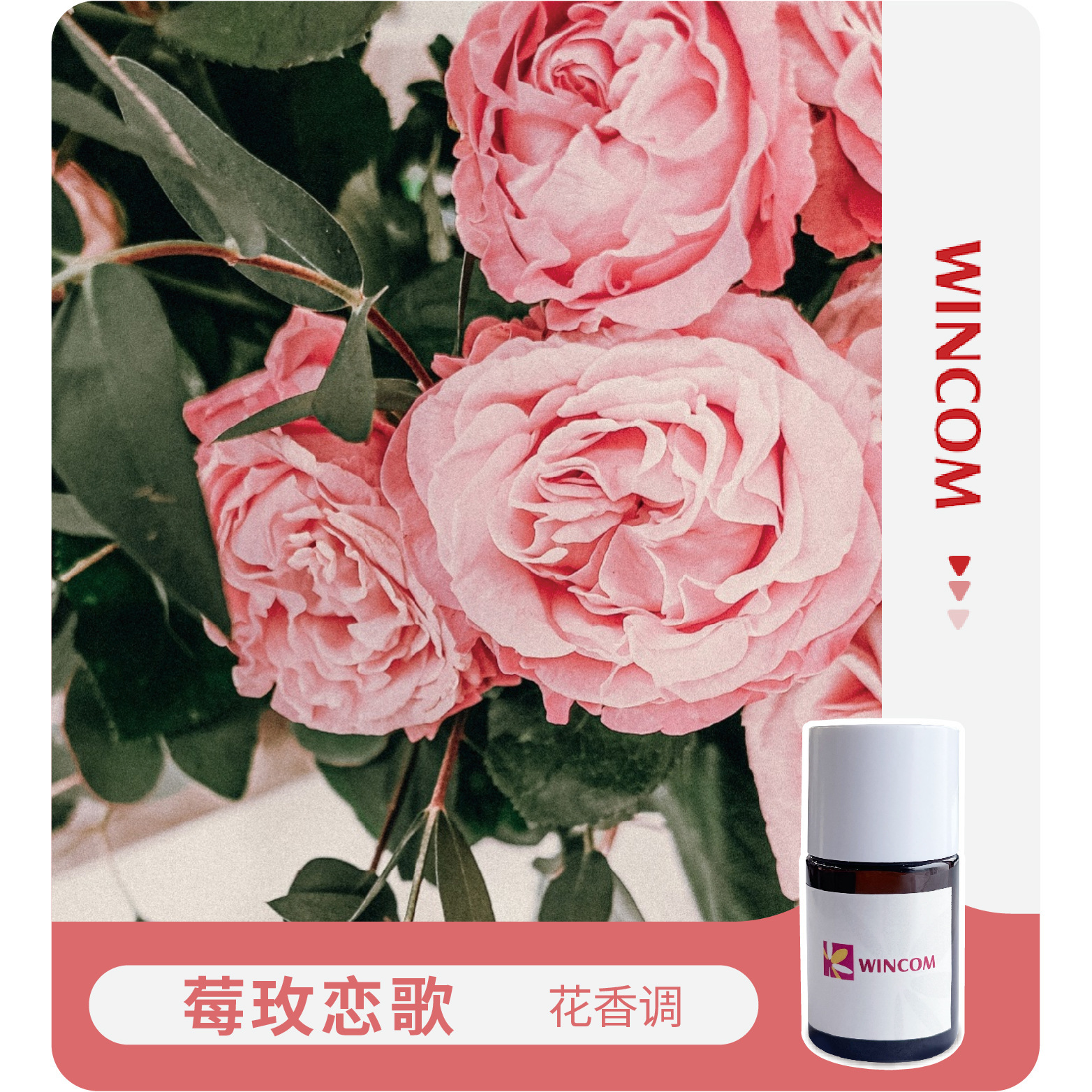 Hương thơm, dâu tây, hương thơm, hương thơm, hương thơm.