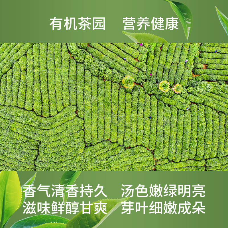 항주 치시마 호수의 녹차 전에 녹차의 향기의 향기의 향기 앞에 신선한 녹차.