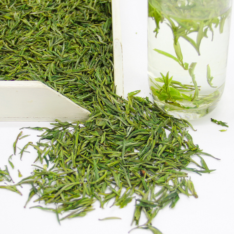 An organic green tea sprouted from the 500 g eco-garden before the new 2023.