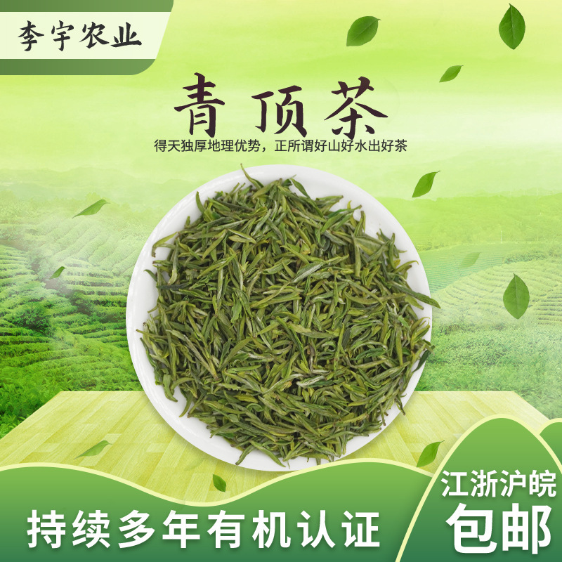 Green-top green tea, organic tea factory 2023 new tea, Chishima-Wano Ecology green tea in bulk.