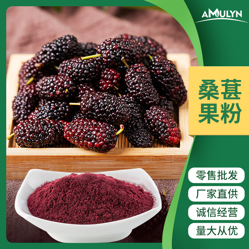 批发食品级黑桑葚果粉 桑葚提取物花青素 饮料压片糖果原料粉