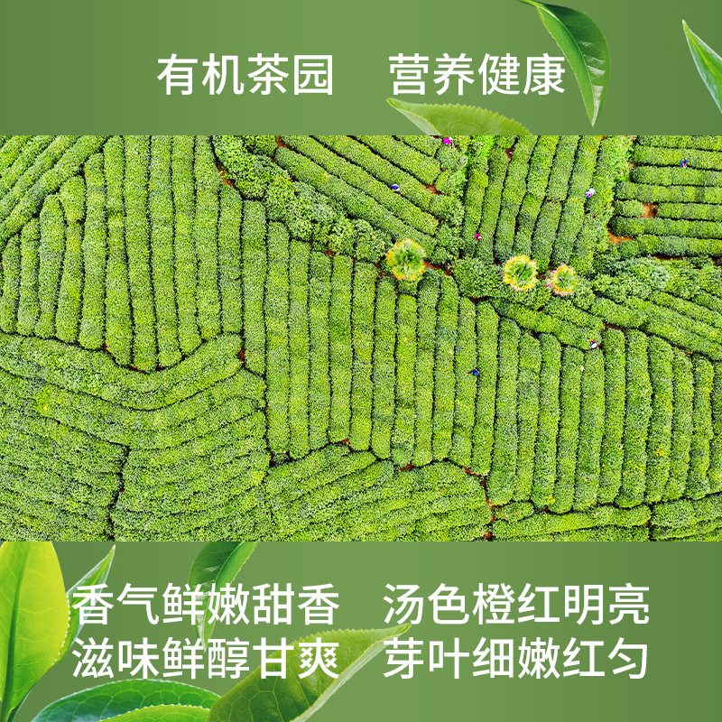 Wholesale of the organic tea factory's organic red tea, 500 g bags of tea and tea raw material, bulk of red tea raw material