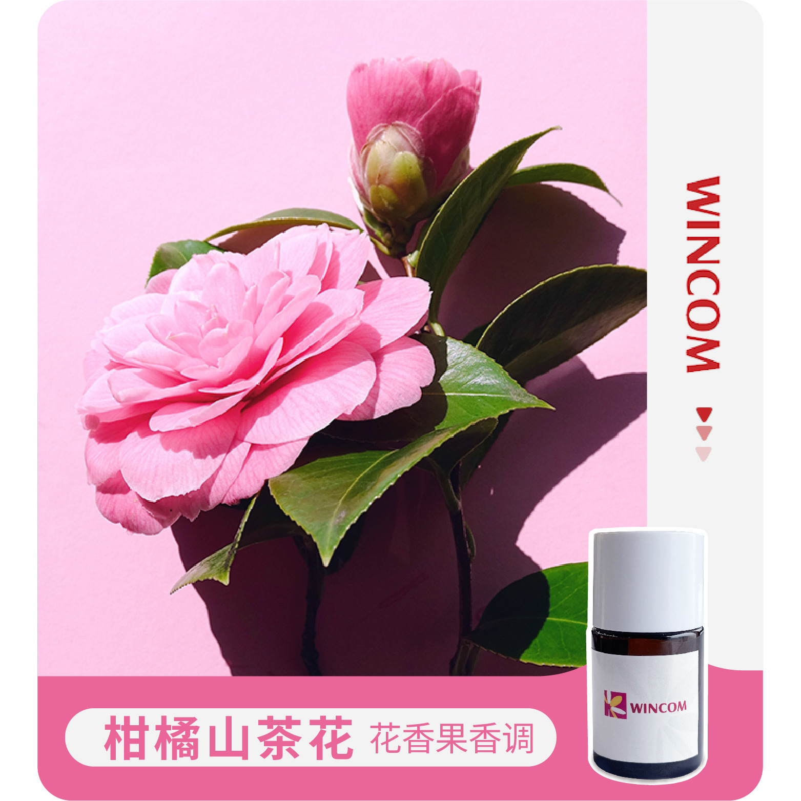 铭康香精   柑橘山茶花  花香果香调   应用护肤香精
