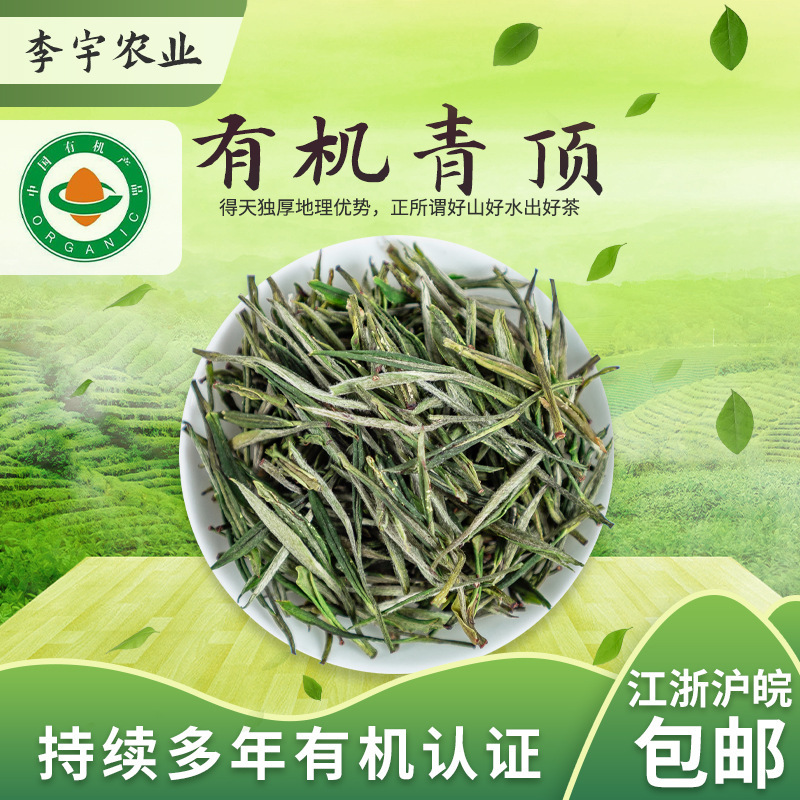Một loại trà xanh hữu cơ đã nảy mầm từ vùng đất 500 g môi trường trước năm 2023 mới.
