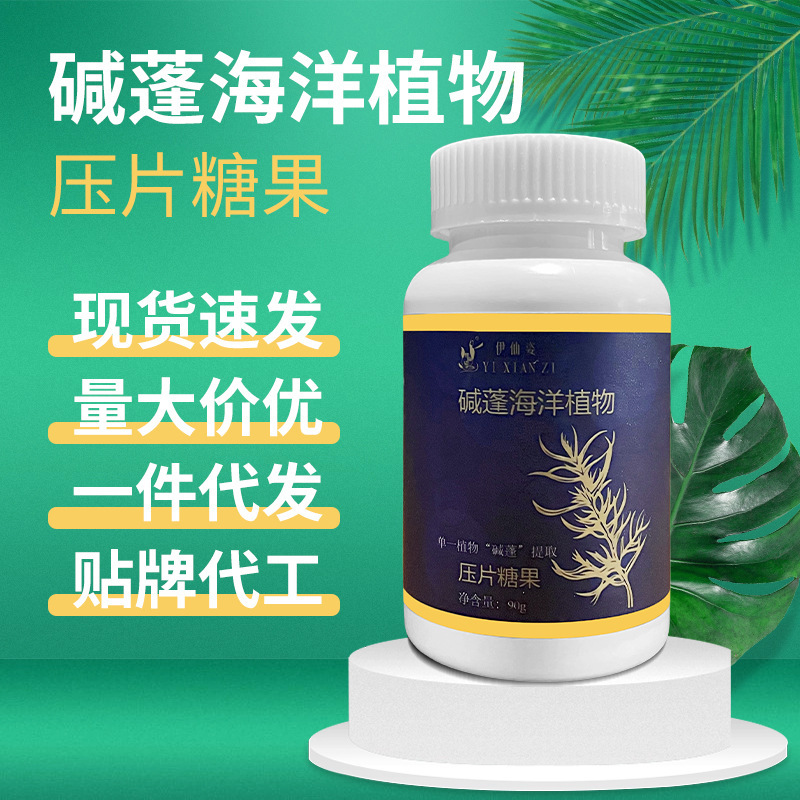 碱蓬海洋植物精华提取压片糖果现货通用一件代发加工压片