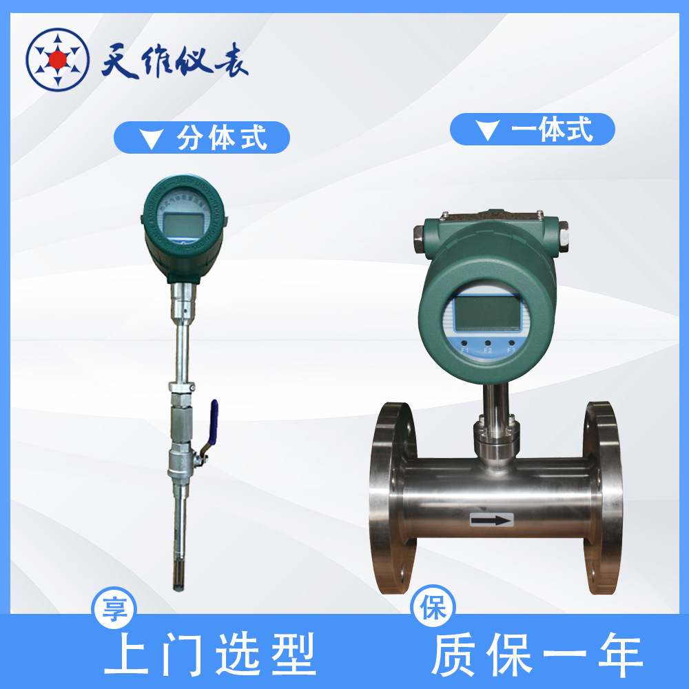 The LCD shows thermal gas mass flow meters, constant temperature differentials, gas measurements, splits, integrated.