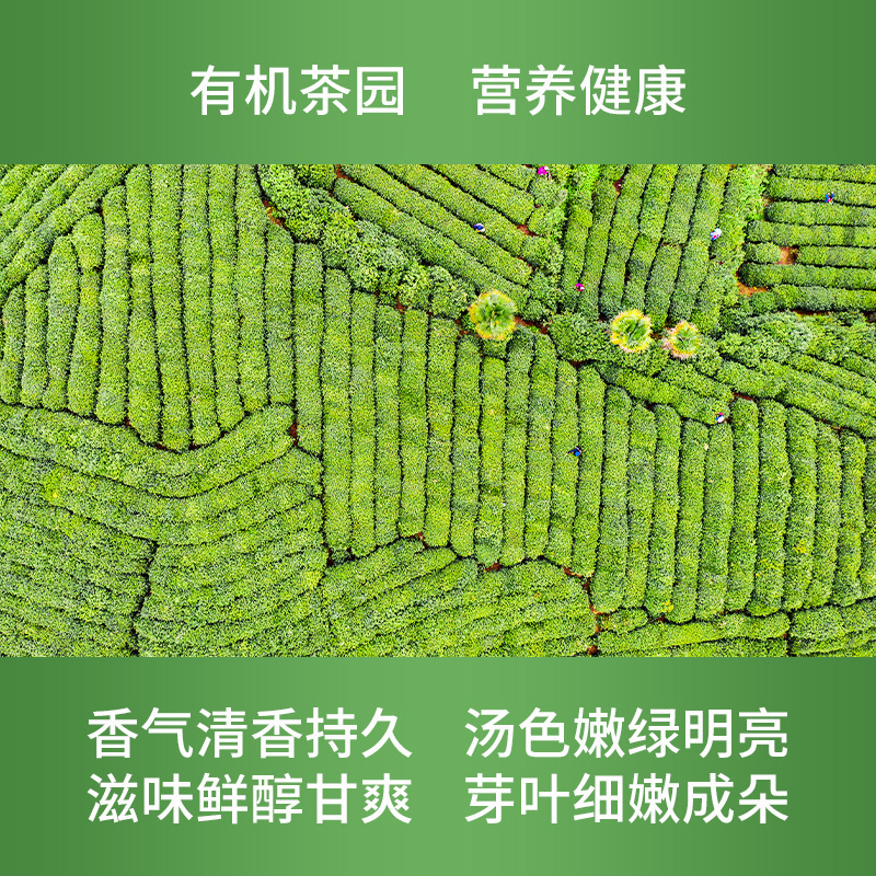 Trà xanh trước khi mưa trà xanh