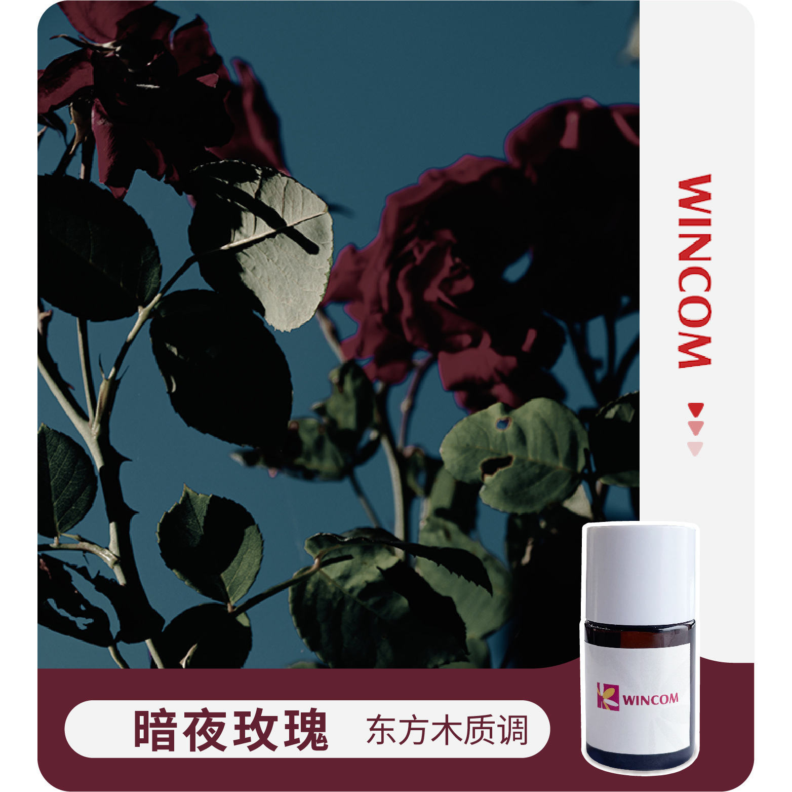 Mùi hương, hoa hồng đen, gỗ đà điểu, dầu gội đầu.