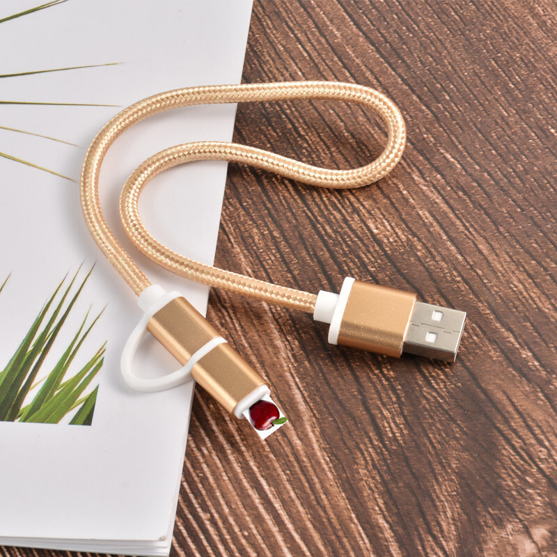 Bộ sạc điện thoại di động 2 lần của nhà sản xuất áp dụng cho Apple Andre để nạp một lượng nhỏ dữ liệu của nylon.
