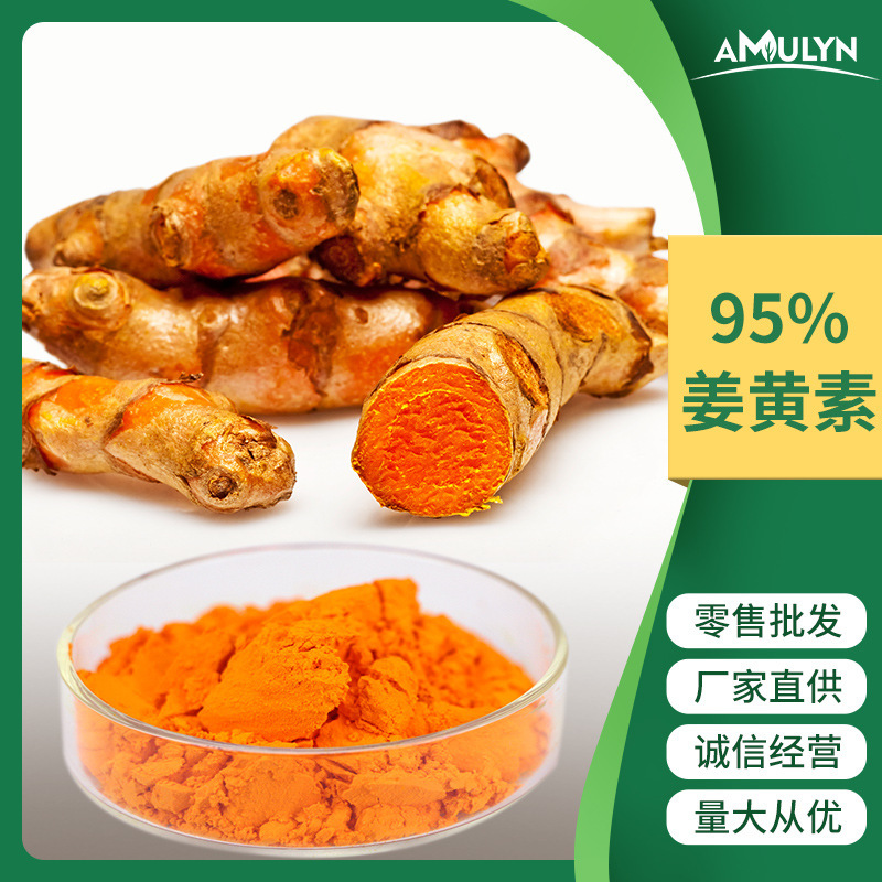 생강 노란색 추출, 수용 성 생강, 식물 색상, 95 % 생강.