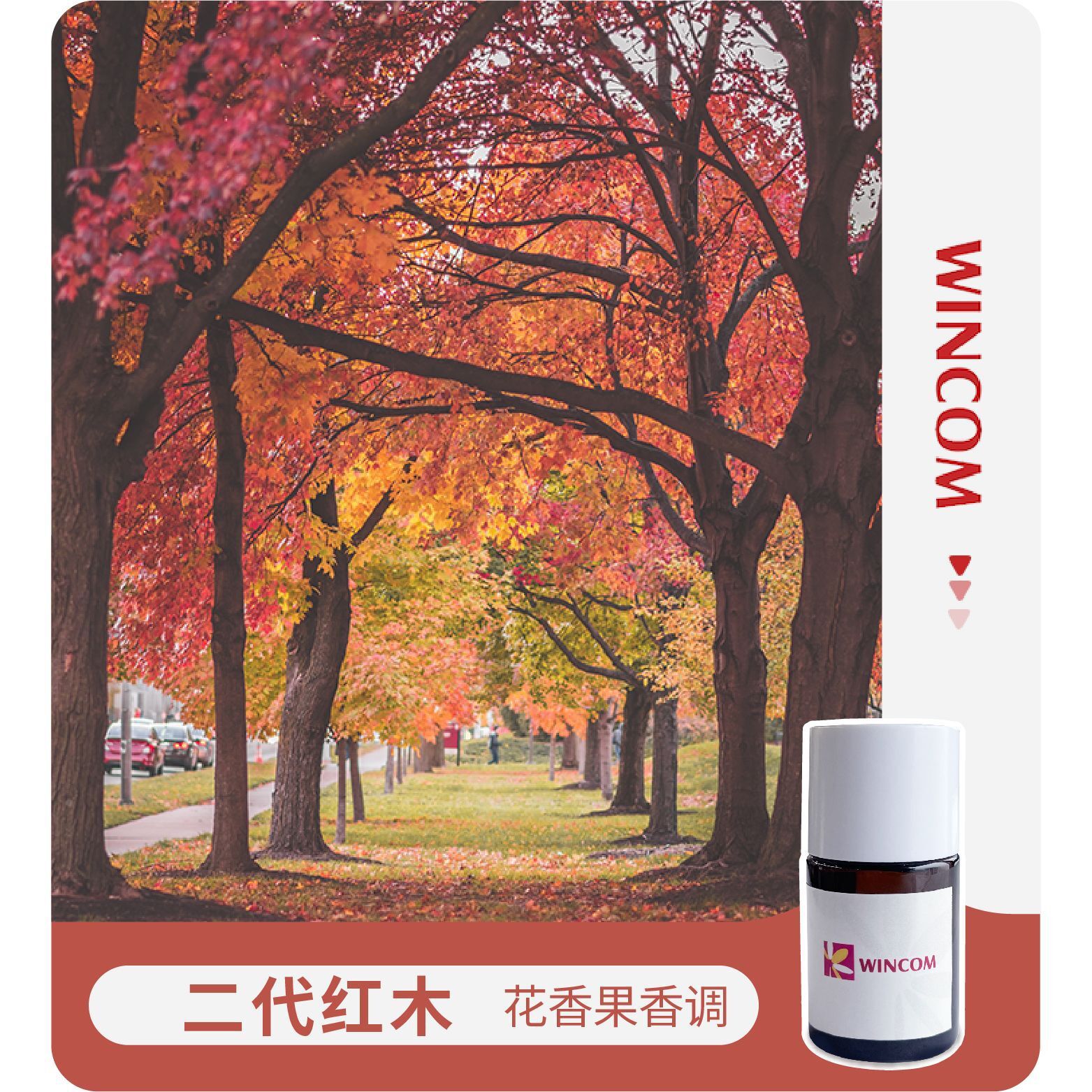 Hai thế hệ gỗ đỏ cho dầu gội đầu.