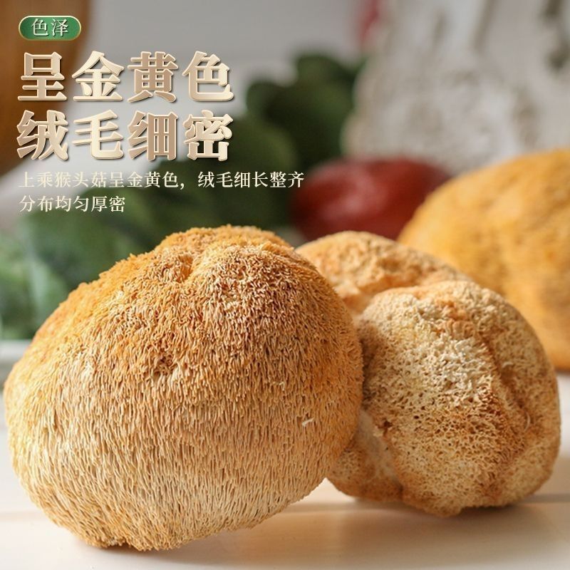 【包郵】福建特產大個猴頭菇乾貨無燻硫猴頭蘑菇中秋國慶禮品袋裝