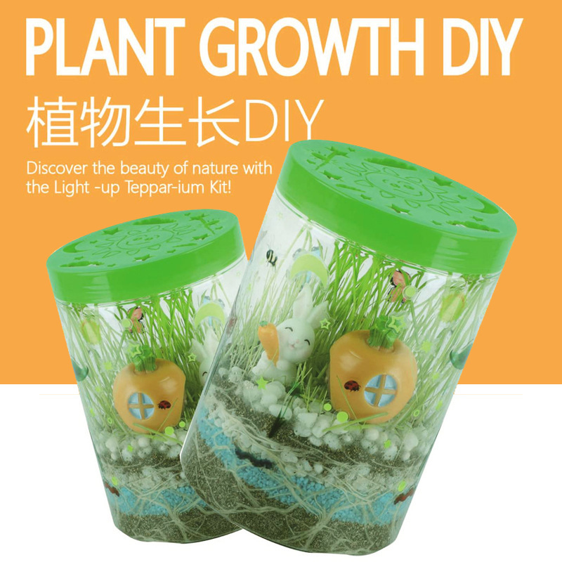 恐龙造景生态瓶微景观种植创意DIY科学实验植物生长光儿童观察盒