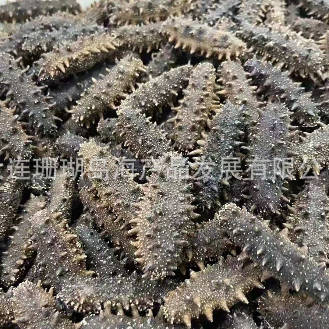 dưa leo biển khô.