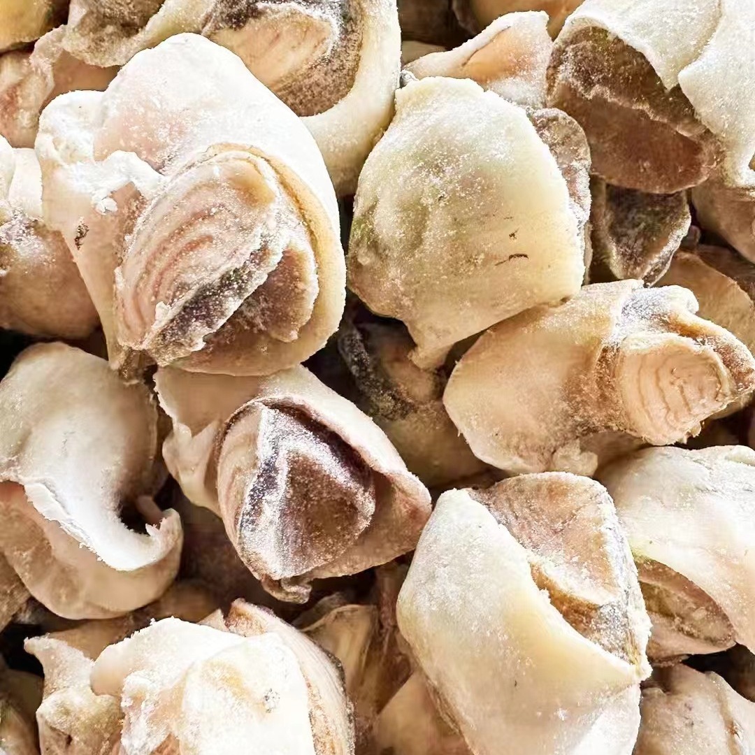 Thịt ốc, thịt đóng băng, ốc sên, vỏ ốc vít.