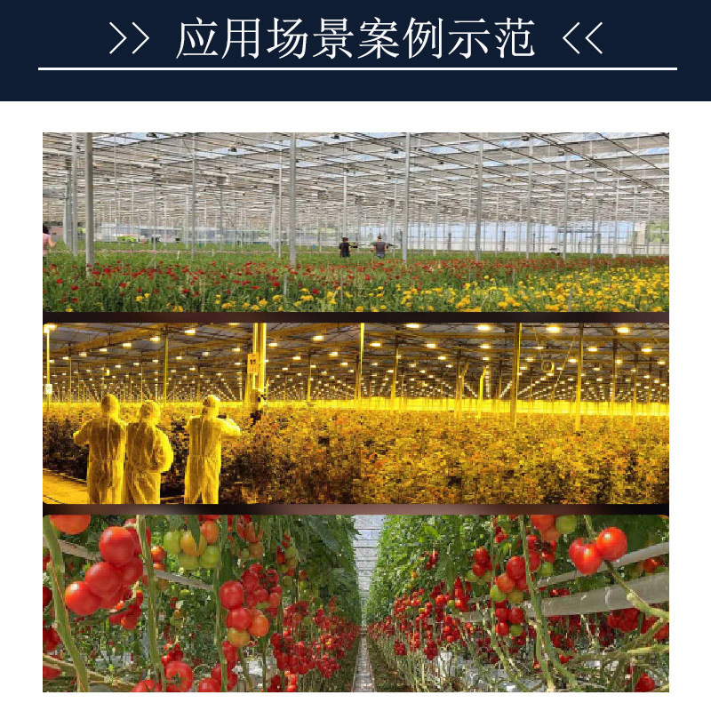 Customize 1,000 W HID plant growth lighting lamps, high-reflection lighting reflecting aluminium lamps.