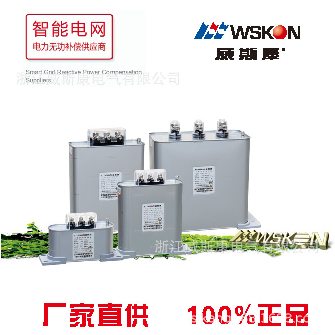 Wisconsin, low-pressure BSMJ 0.45KV series with electrical capacitors, direct supply.