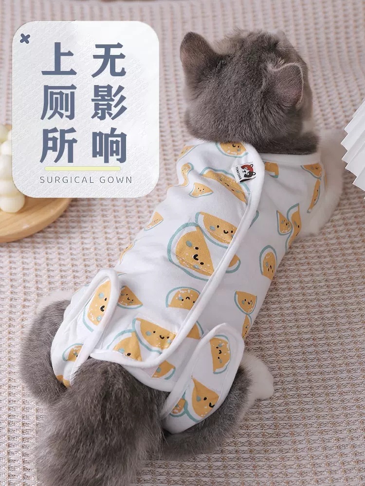 猫手术服母猫绝育衣服断奶服四脚猫咪衣服术后防护透气猫咪绝育服