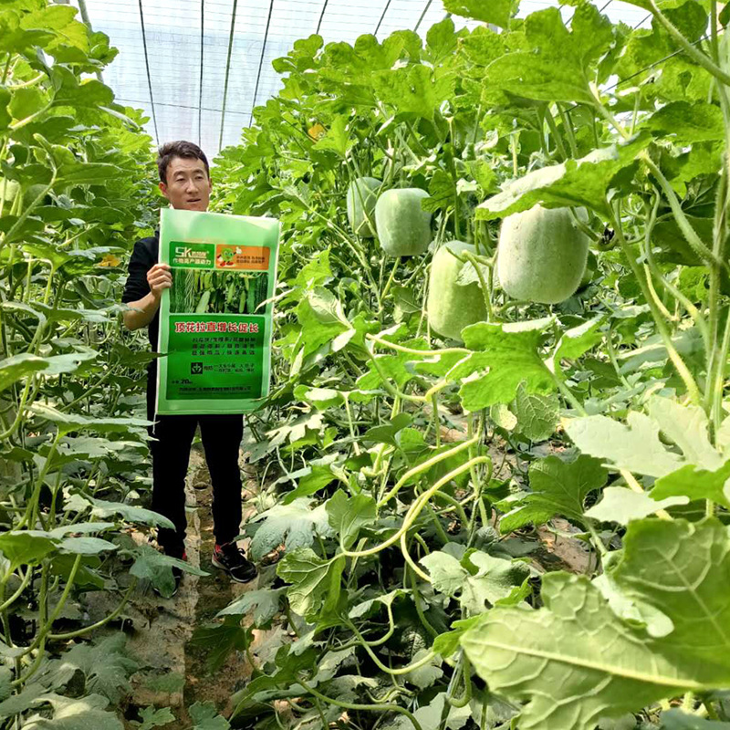 厂家直供水溶肥微大量元素肥料顶花拉直增长促长拉瓜快/生根多/花