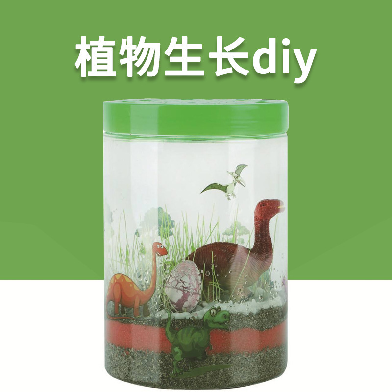 恐龙造景生态瓶微景观种植创意DIY科学实验植物生长光儿童观察盒