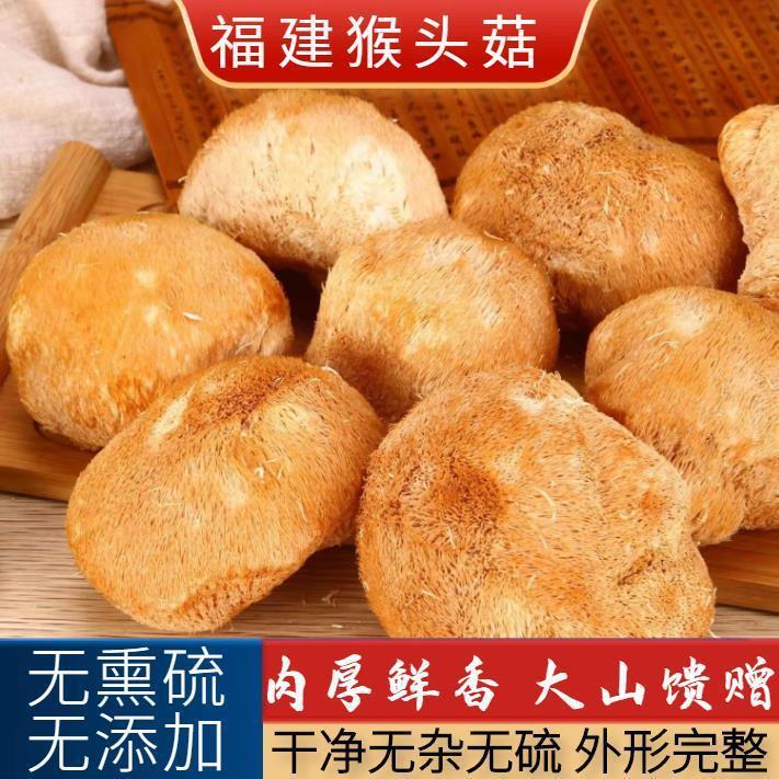 【包郵】福建特產大個猴頭菇乾貨無燻硫猴頭蘑菇中秋國慶禮品袋裝