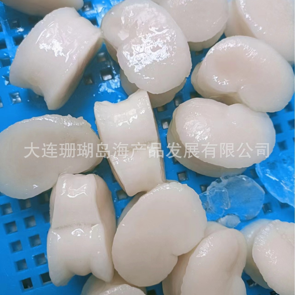 Giang Zheng, cuộn băng, Gia Cát, Trần Chân, Tử Tử Tử, Tử Tử Tử