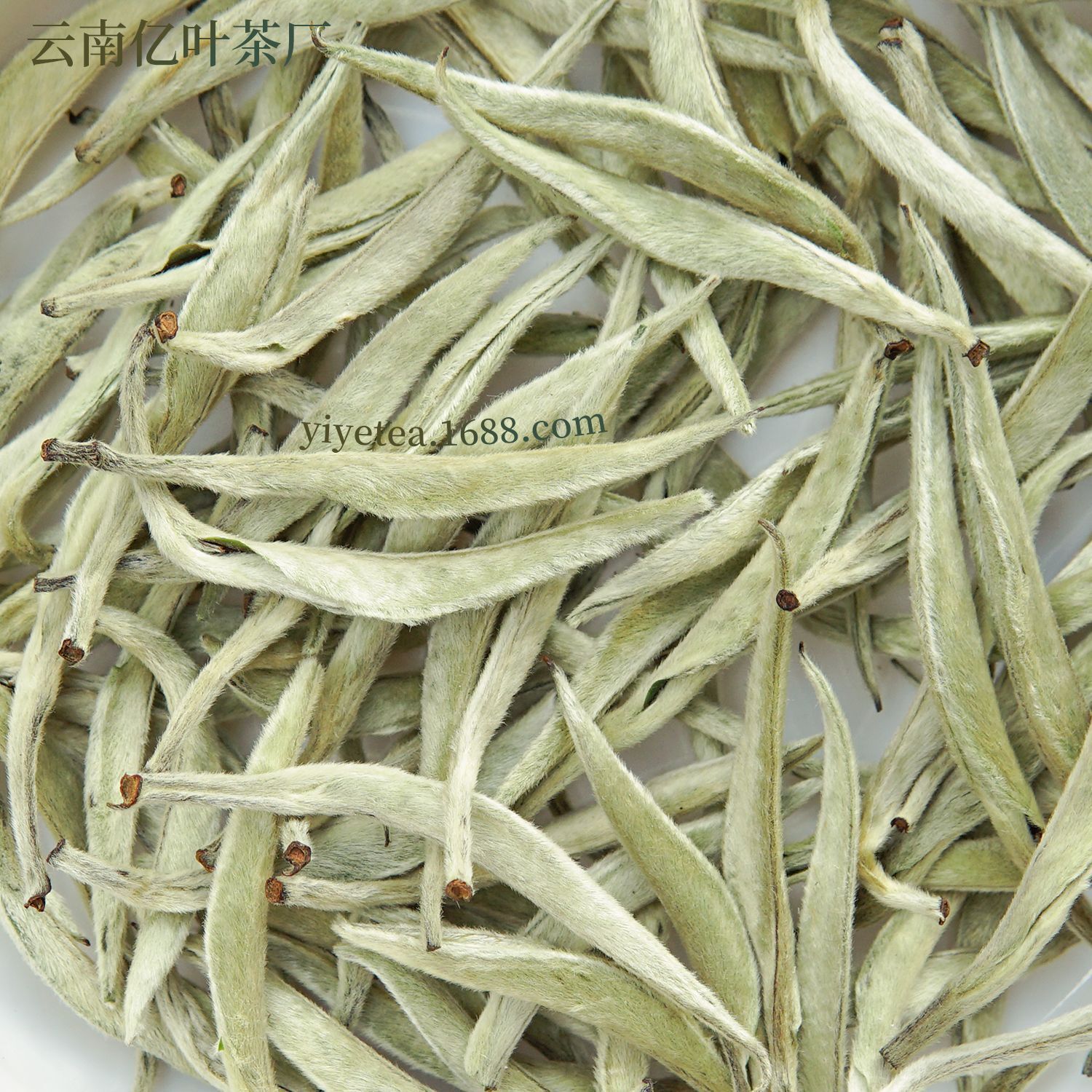 2024 Yunnan white milligrams of large-scale, large-scale, large-scale, white-leaved, white-coloured, fresh moon-light tea