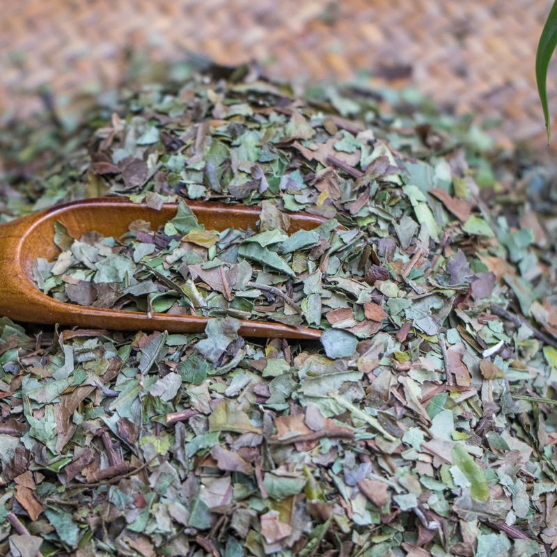 1kg bulk plant wholesaled organic white tan slices of new white tea and tea in the early spring.