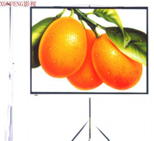 Shanghai's 100-inch stand-on-triangular screen projector painting frame