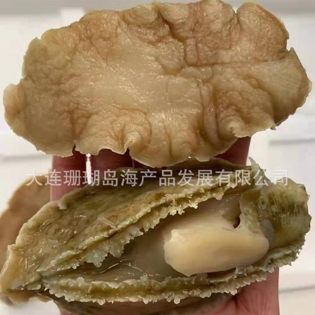 鲍鱼肉、野生鲍鱼肉