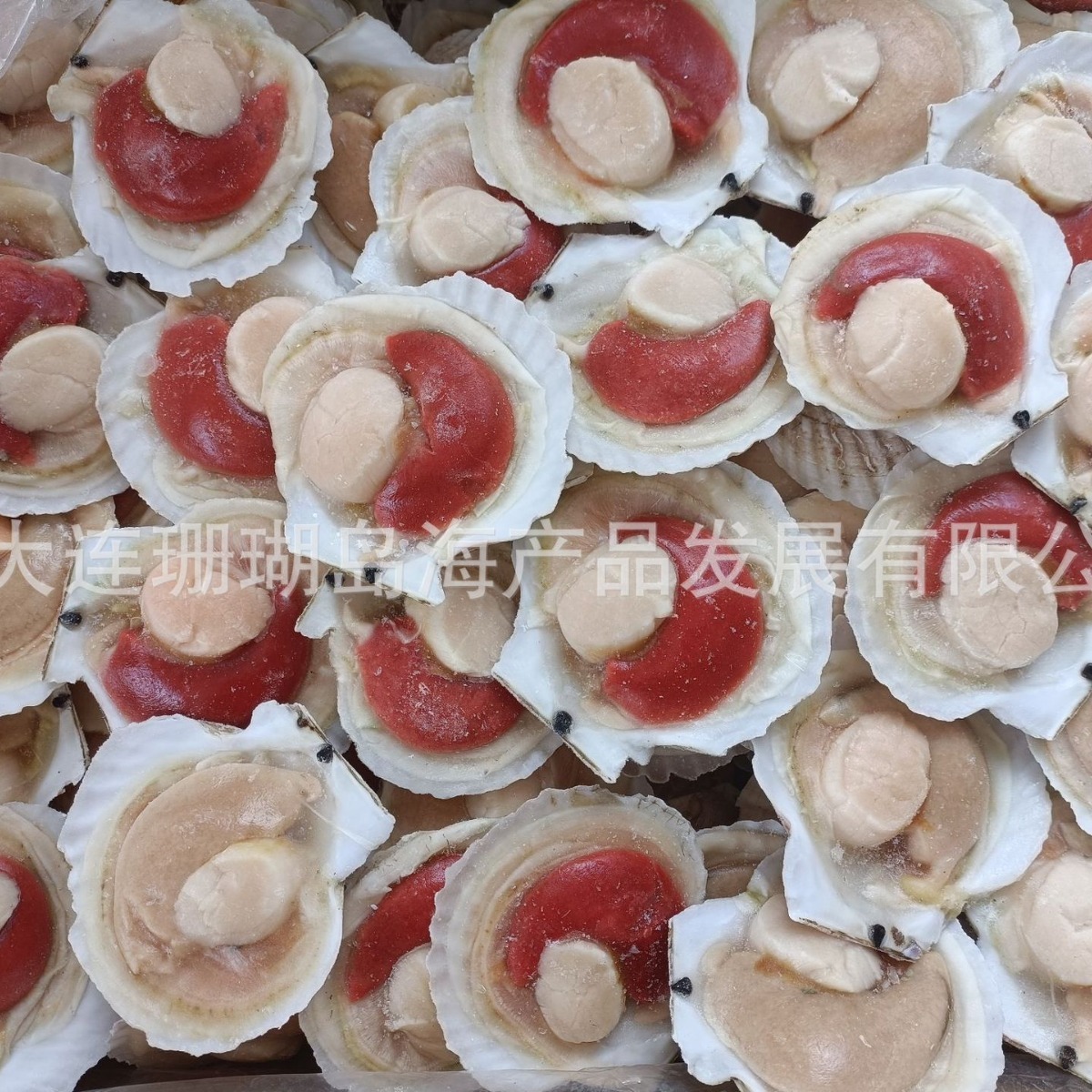 Nửa vỏ sò, nửa vỏ tôm, vỏ sò.