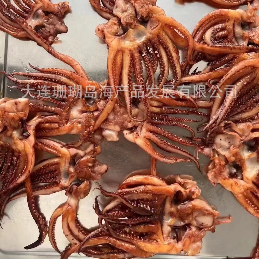 Squids. Squids. Squids.