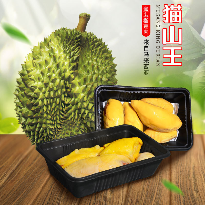 Malley D197 Hộp trứng chiên Cat Hills với trái cây, 400g/box với nhân.