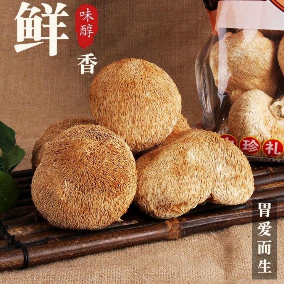 【包郵】福建特產大個猴頭菇乾貨無燻硫猴頭蘑菇中秋國慶禮品袋裝