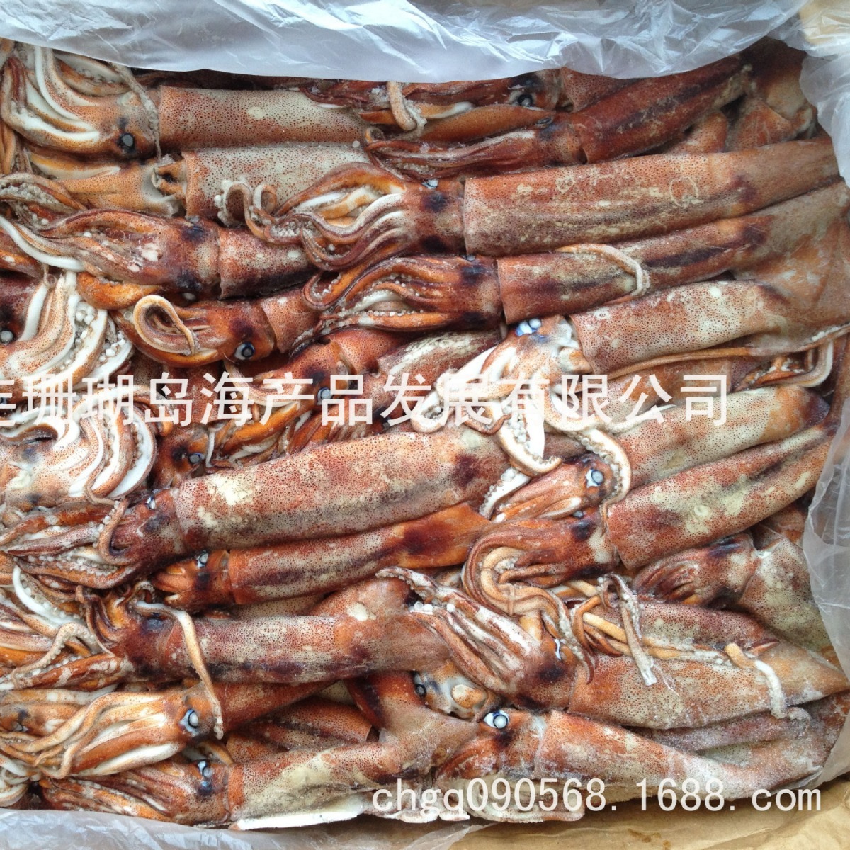 Những đứa trẻ, những đứa bé bị đóng băng.