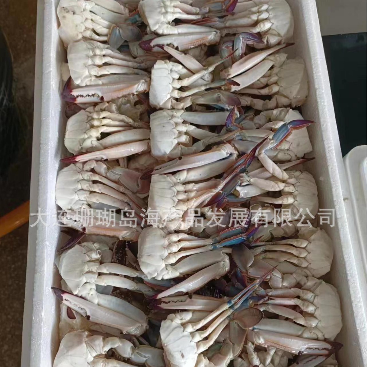Nó bị cắt tiêu chuẩn.