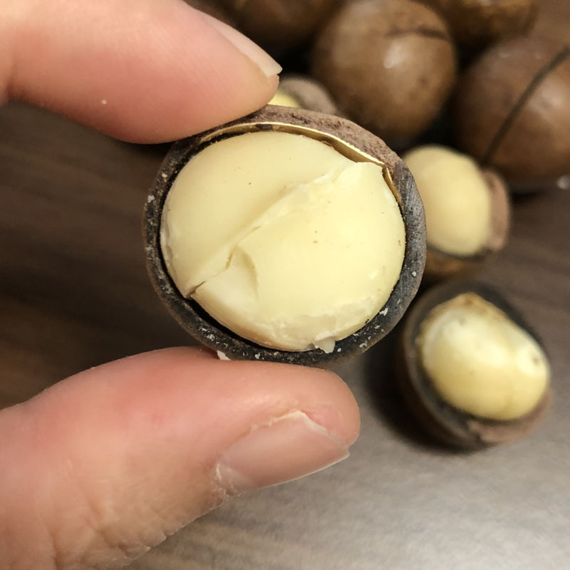 Nhà máy bán sữa, hương vị ban đầu, hộp trái cây Hawaii ( lon)