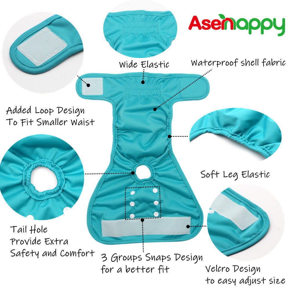 Giấy tờ P.P.P.P., khăn tắm của dì chó, và quần của Teddy hết rồi.