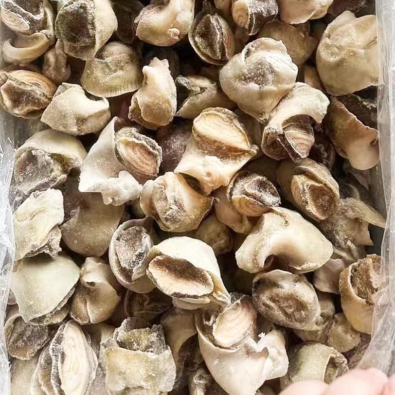 Thịt ốc, thịt đóng băng, ốc sên, vỏ ốc vít.