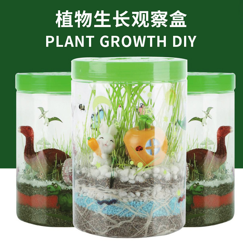 恐龙造景生态瓶微景观种植创意DIY科学实验植物生长光儿童观察盒