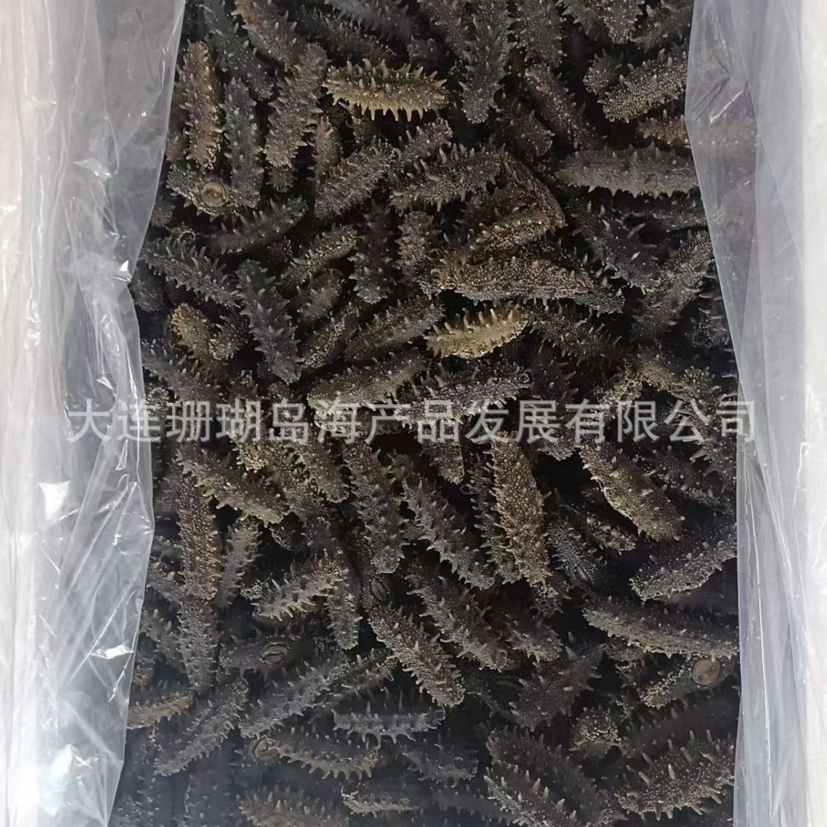 dưa leo biển khô.