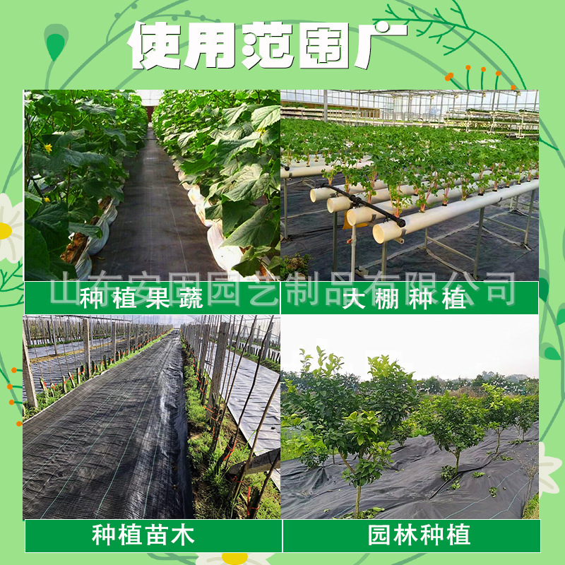 Cây cối cung cấp cánh đồng làm vườn cho màng nông nghiệp guacamole để săn trộm quả mọng cỏ