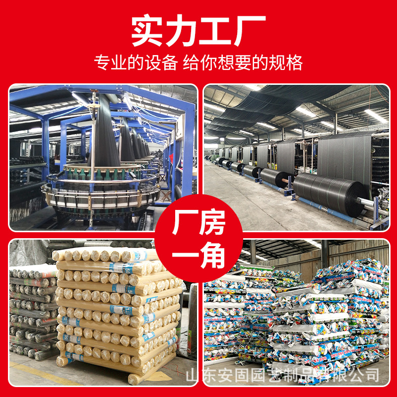 Lớp màng thực vật trong nhà máy nơi có cỏ dại chống lại cỏ dại trái cây và cây trái được bao phủ bởi nước