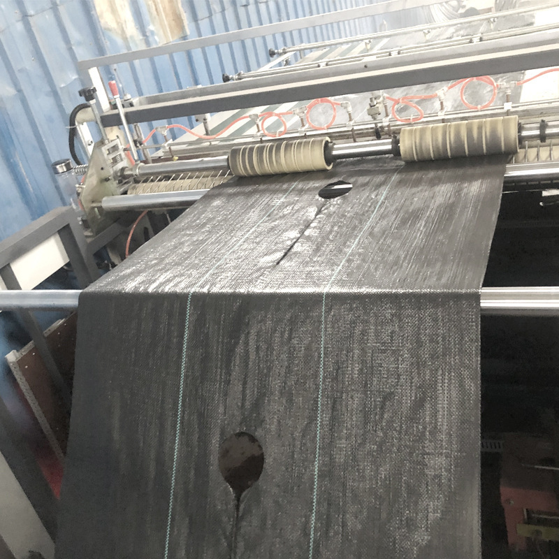 Tuỳ chỉnh sự phân phối của các bảng chống đục cỏ sơn và các lớp màng mới cho dầu gội sinh thái