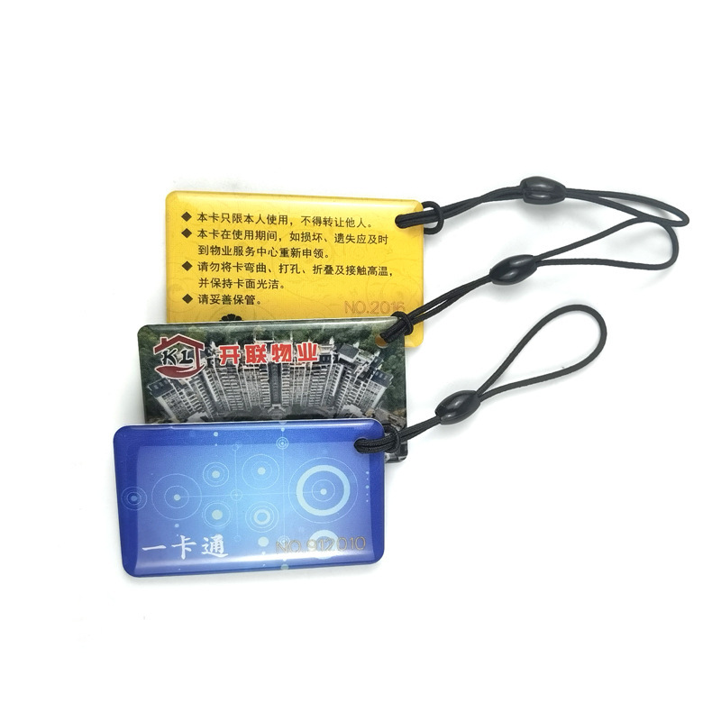 Nhà sản xuất đã làm thẻ IP, và thẻ IC.